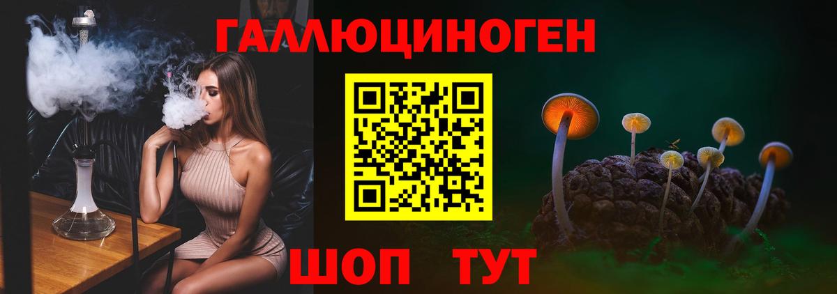 Галлюциногенные грибы Magic Shrooms Новороссийск